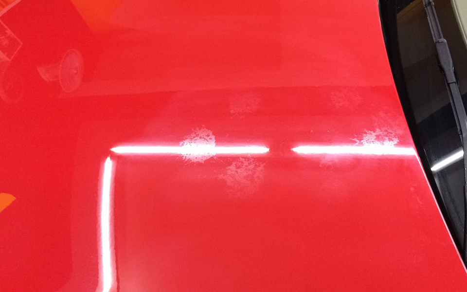 Waxpark Premium Car Care